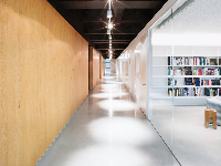 Xue Xue Institute
