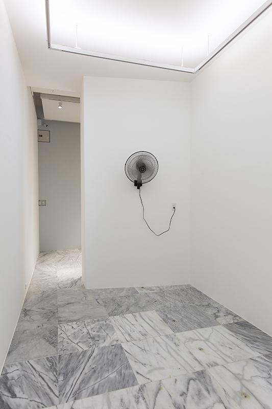TFAM Exhibitions